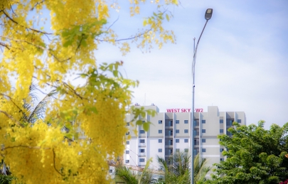 Có con đường mang tên hoa Hoàng Yến tại khu đô thị Ecogarden 